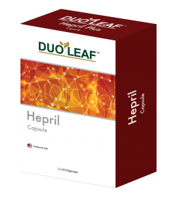 6-Box-Duoleaf-3D-Herpil-resized