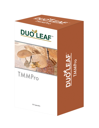 Duoleaf-TMM Pro Box Trans (L) 01